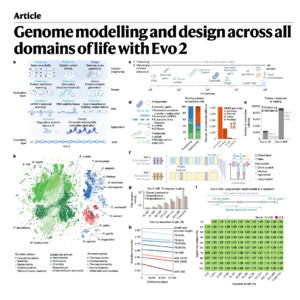 689-Evo 2: A Foundation Model for All Domains of Life
