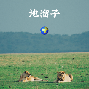 01| 今年9月，我们看到了“非洲五霸”