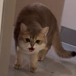 用户11356