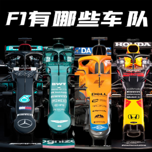 F1解析｜一级方程式里有哪些车队？车手们谁强谁弱？【第一期】