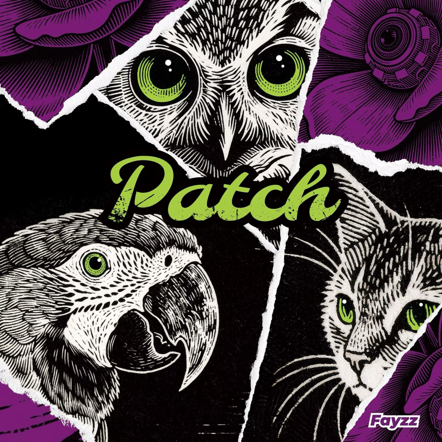 Fayzz - Patch episode artwork
