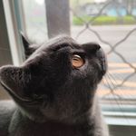 松弛不执念