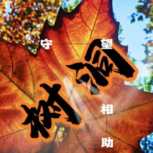 010-树洞—守望相助