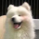 宵夜不爱吃宵夜