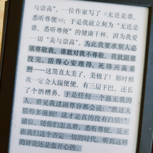 我有一个计划：做一个疯子