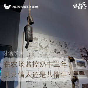 Vol.24 在农场监控奶牛三年,更共情人还是共情牛?