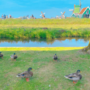 08. 优雅地躺平是一种艺术