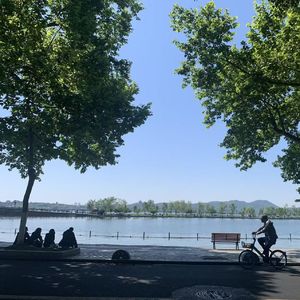 初夏｜热植展和看完电影想去拥抱一棵树