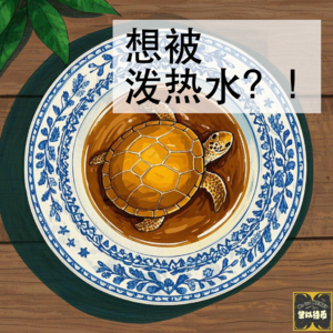 海龟汤|想被泼热水,快!求泼!|Vol.004