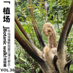 Vol.36 Botanic walk 深圳篇，在仙湖植物园里沉浸式暴走