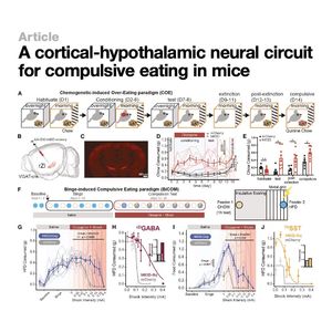 1529-Neural Circuit for Compulsive Eating