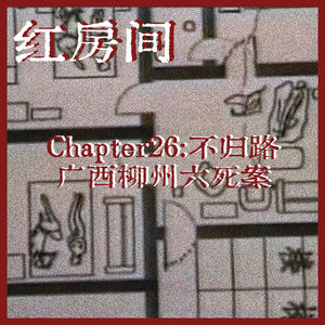 Chapter26：不归路|广西柳州六死案