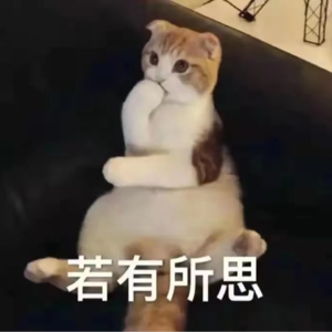 008.婚姻之择：是与非的考量
