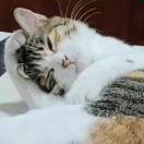 允许一部分梦想家先富起来