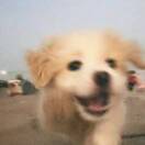 张且徐