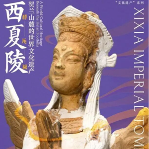 中国大运河博物馆“西夏陵：贺兰山麓的世界文化遗产”特展（下）