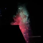 脑子不好的核桃