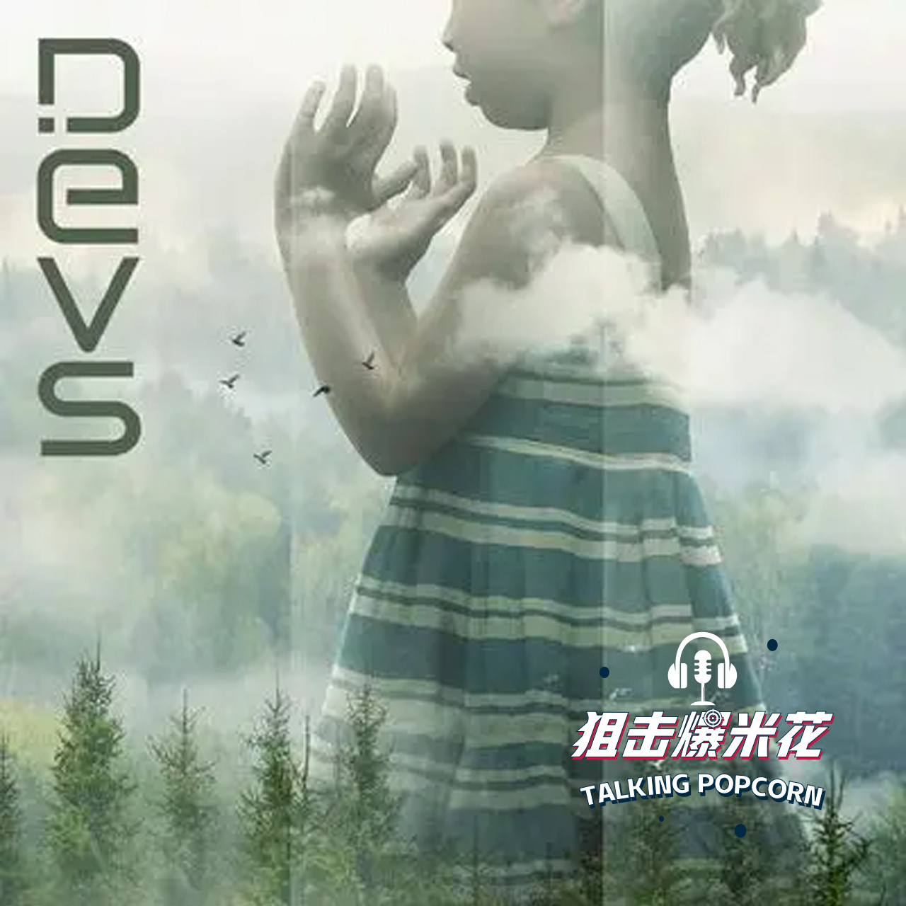 cover of episode 《开发者》：自由意志是否存在？强决定论还是多重宇宙？情节扎实还完整解释科学原理