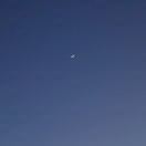 LeonSun