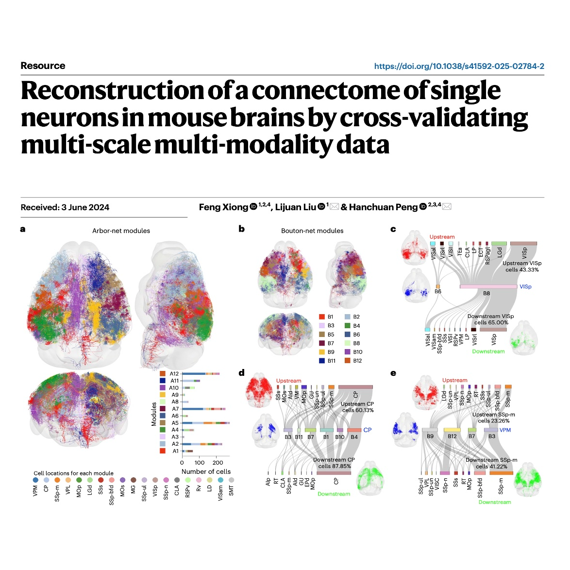 320-Validated Single-Neuron Connectome of the Mouse Brain 320-Validated Single-Neuron Connectome of the Mouse Brain