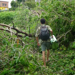 14. 花光存款流浪6国43城，开一家数字游民社区，我在过旅居世界的生活