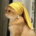 Meow-ing