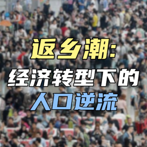 返乡潮：经济转型下的人口逆流