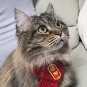 No.146 【新春特别节目】2025活动预告: 摸鱼上班，认真玩乐！盗墓笔记十年之约导致现在长白山就爆棚了？