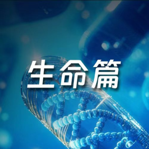 2026，重新定义生老病死