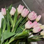 霹雳闪电烤鲜橙