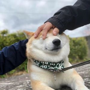春秋战国篇