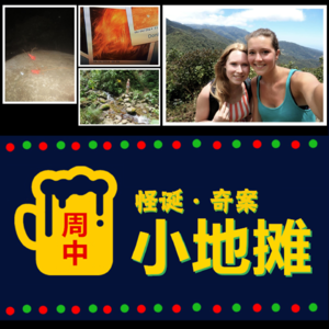 【荷兰】2014年「两少女森林中神秘失踪」留下诡异照片，案情多年后网友挖出离奇真相