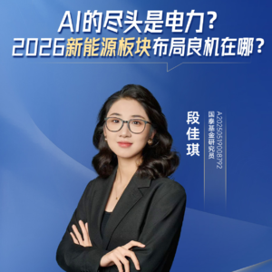 段佳琪：AI的尽头是电力？2026新能源板块布局良机在哪？