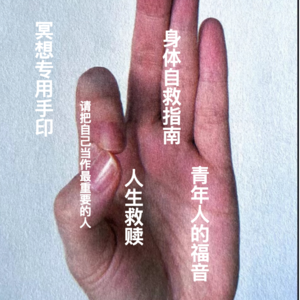 吃席 EP.28：当代青年人的身体自救指南