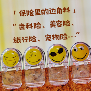 Vol.11 「 保险里的边角料 」旅行险、宠物险、医美险…花小钱办大事的秘诀