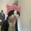 怪人拉德利