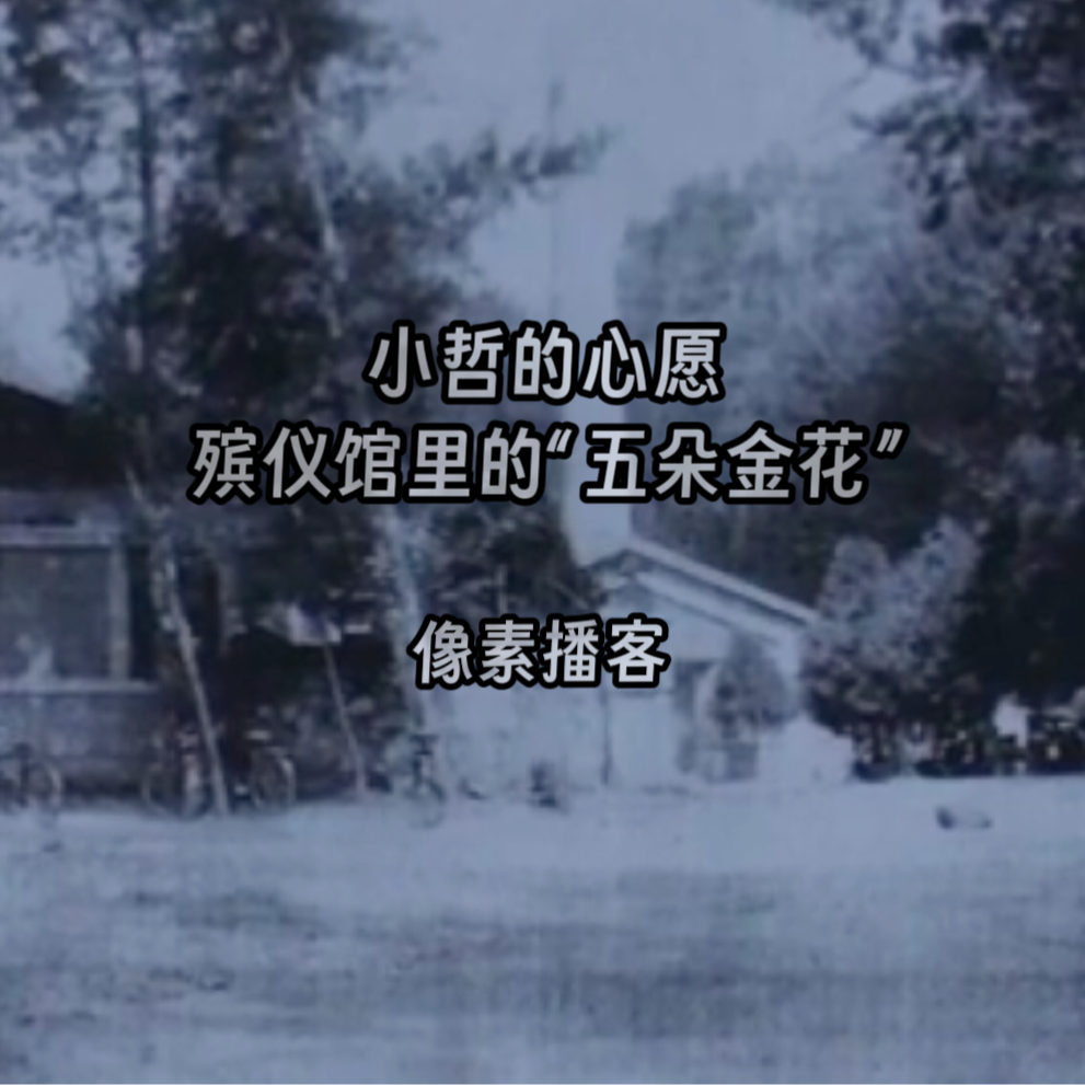 56.小哲的心愿：殡仪馆里的"五朵金花" episode artwork