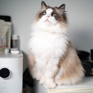 EP03. 第一次走进力量区，我在害怕什么？