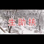 身弱喜【生助扶】与身旺喜【泄克耗】