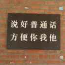 牡丹牡丹大牡丹_U5xn