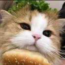 宇宙无敌爆帅小月