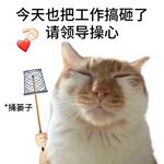 喵的小岛