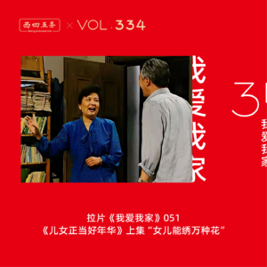 334 拉片我爱我家|51《儿女正当好年华》上集“女儿能绣万种花”