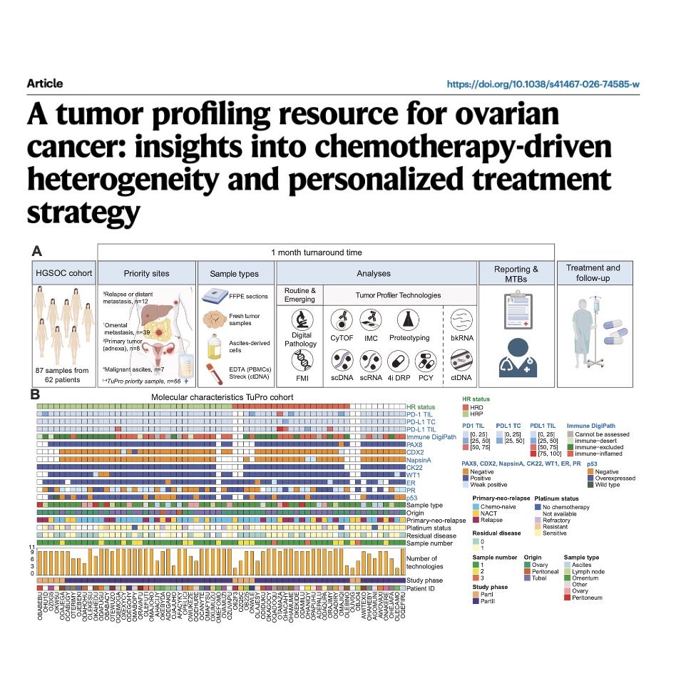 1580-Multi-modal Tumor Profiling in Ovarian Cancer episode artwork