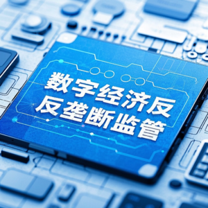 第十六章 数字经济反垄断监管 - 李三希《数字经济概论》