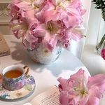VOL563.电影《但愿人长久》：三代女性在成都的悲欢离合，勾勒她们命运的奥德赛时期。