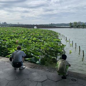 一场虚幻的太阳雨
