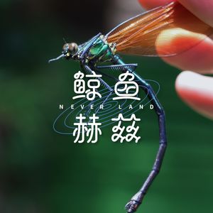 Vol.65 一起来听听夏日虫鸣吧！