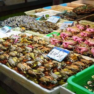 101. 菜市场的多重压力和生存法则