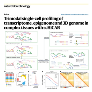 757-scHiCAR：单细胞转录组、表观组与三维基因组三模态解析